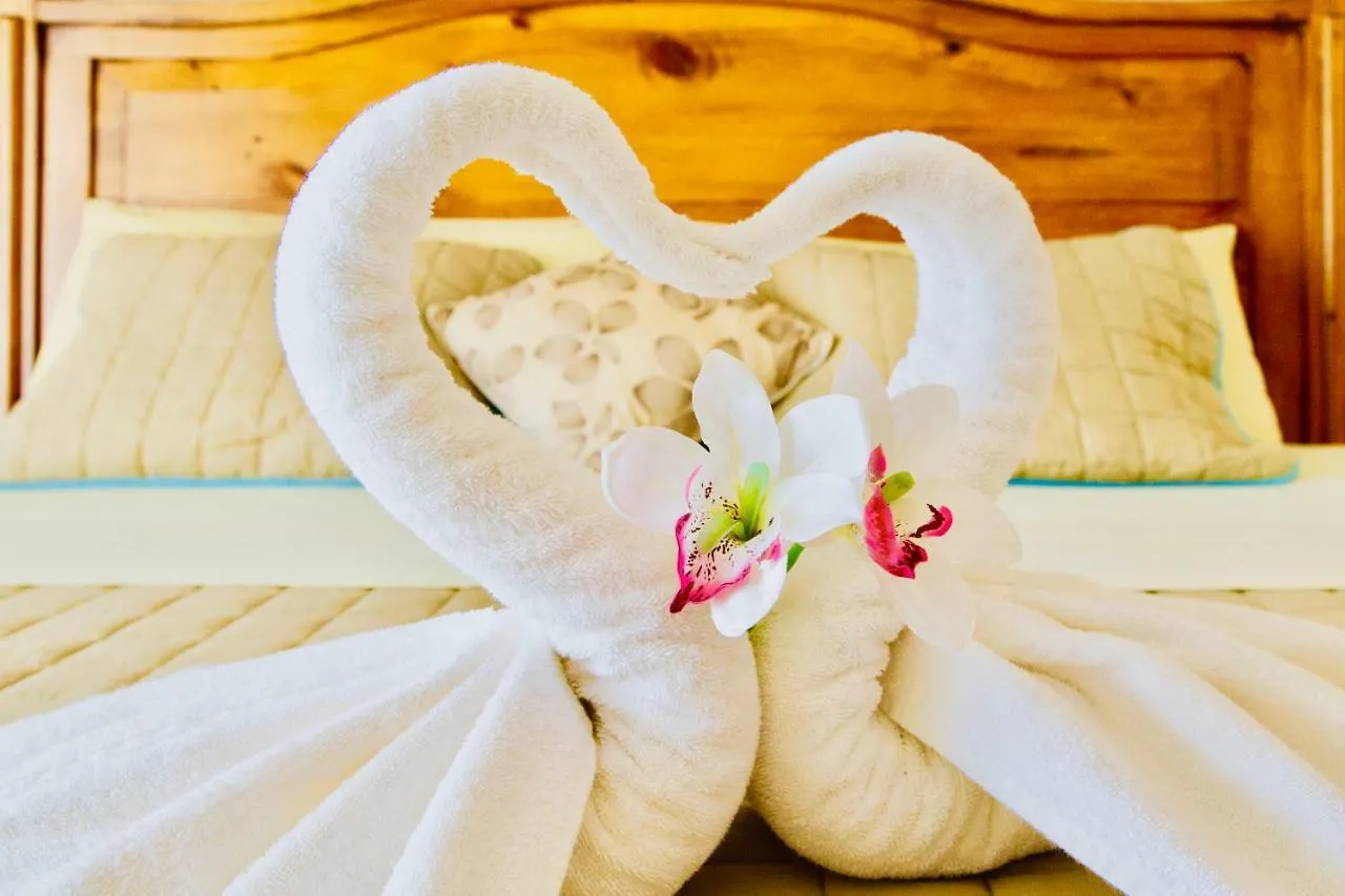 Gorgeous Villa With Pool E8 Playacar Phase 2 Playa del Carmen Mexico
