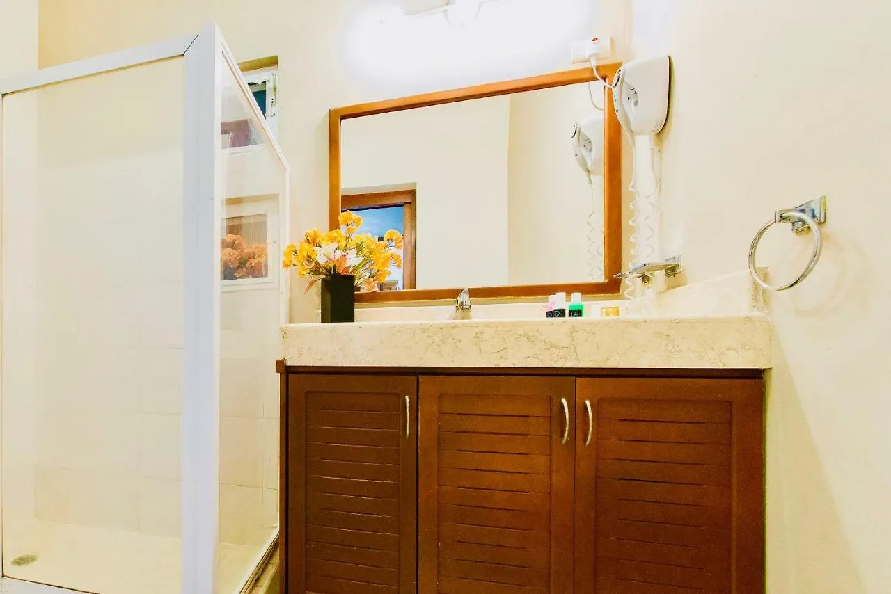 Gorgeous 11 People Comfort Villa With Pool Playacar Phase 2 Playa del Carmen Mexique